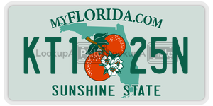 KT125N license plate in Florida