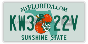 KW322V  license plate in FL