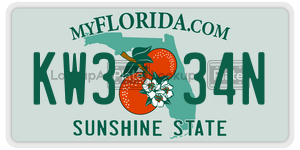 KW334N  license plate in FL