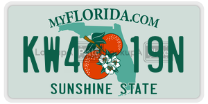 KW419N  license plate in FL