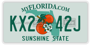 KX242J license plate in Florida