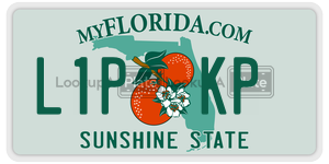 L1PKP license plate in Florida