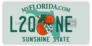 L2QNE  license plate in FL