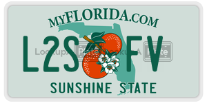 L2SFV  license plate in FL