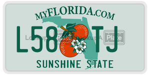 L58TJ license plate in Florida