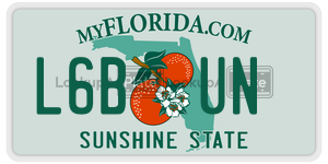 L6BUN license plate in Florida