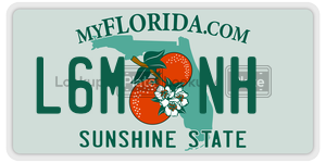 L6MNH  license plate in FL