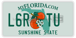 L6RTU  license plate in FL