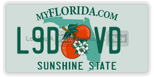 L9DVD license plate in Florida