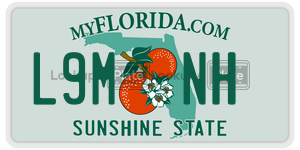 L9MNH  license plate in FL