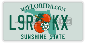 L9RKX  license plate in FL