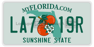 LA719R  license plate in FL