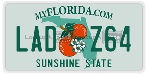 LADZ64  license plate in FL