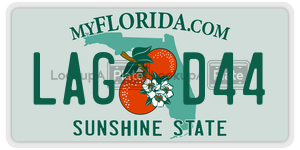 LAGD44 license plate in Florida
