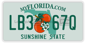 LB367Q  license plate in FL