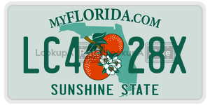 LC428X  license plate in FL