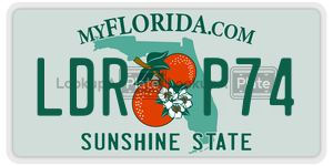LDRP74  license plate in FL