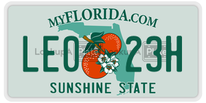 LE023H  license plate in FL