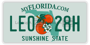 LE028H  license plate in FL