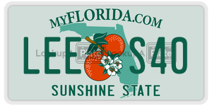 LEES40 license plate in Florida
