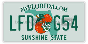 LFDG54  license plate in FL