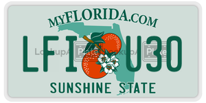 LFIU30  license plate in FL