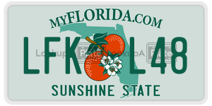 LFKL48 license plate in Florida