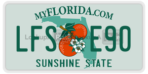 LFSE90  license plate in FL