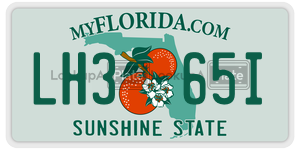 LH365I  license plate in FL