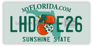 LHDE26  license plate in FL