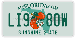 LI980W  license plate in FL