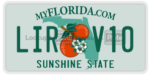 LIRV10  license plate in FL