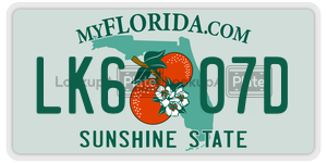 LK607D  license plate in FL