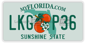 LKGP36  license plate in FL