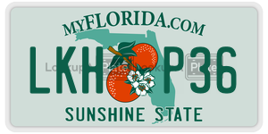 LKHP36  license plate in FL