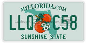 LLQC58 license plate in Florida