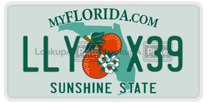 LLYX39  license plate in FL