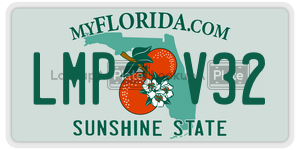 LMPV32 license plate in Florida