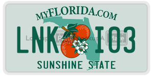 LNKI03  license plate in FL