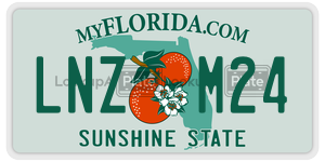 LNZM24  license plate in FL