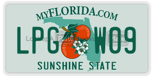 LPGW09  license plate in FL