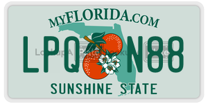 LPQN88  license plate in FL