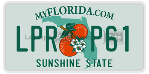 LPRP61 license plate in Florida