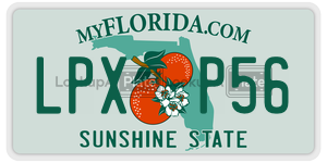 LPXP56  license plate in FL