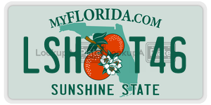 LSHT46 license plate in Florida