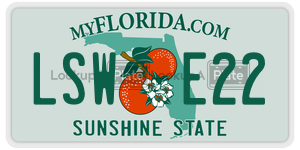 LSWE22  license plate in FL