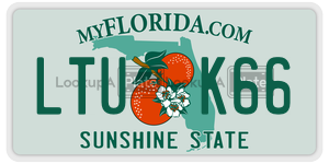 LTUK66 license plate in Florida