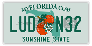 LUDN32  license plate in FL