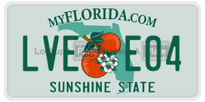 LVEE04 license plate in Florida