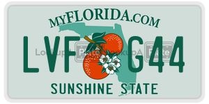 LVFG44 license plate in Florida